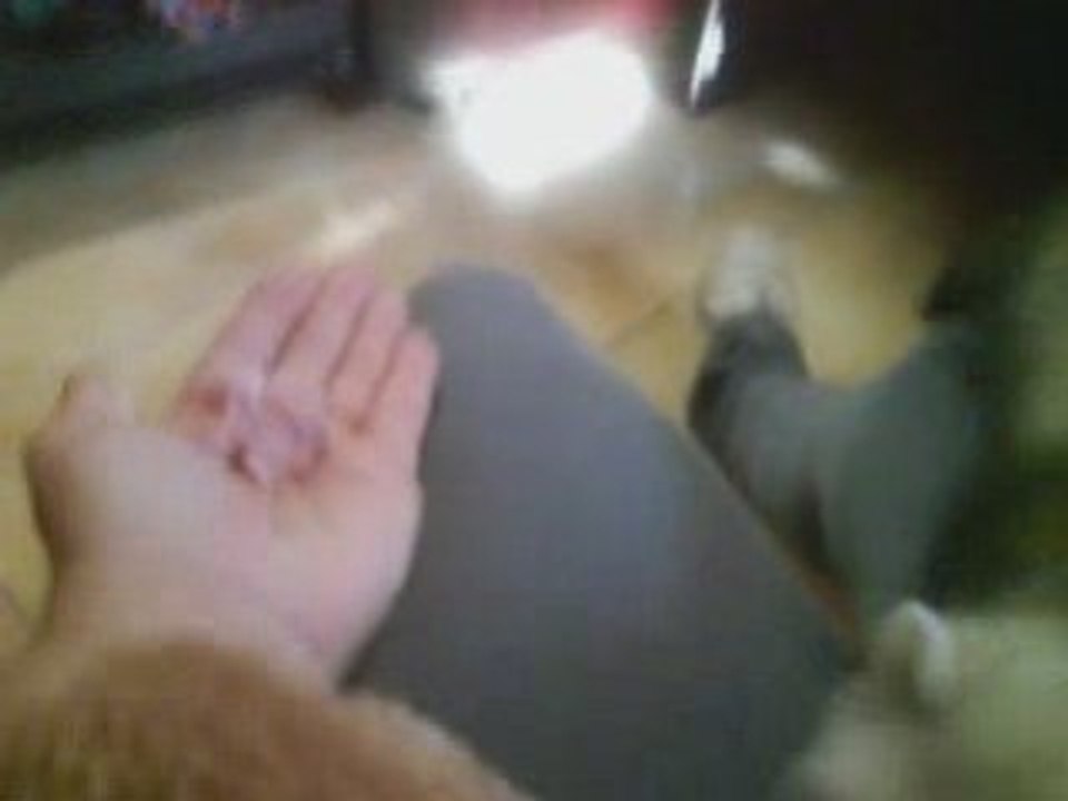 Miam un repas au jambon c'est super top