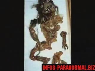 Créatures & Paranormal [Infos-Paranormal.Biz]