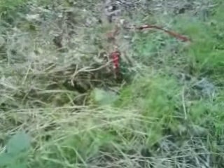 Ficelle et son fagot