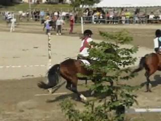 Tiercé Petits Poneys
