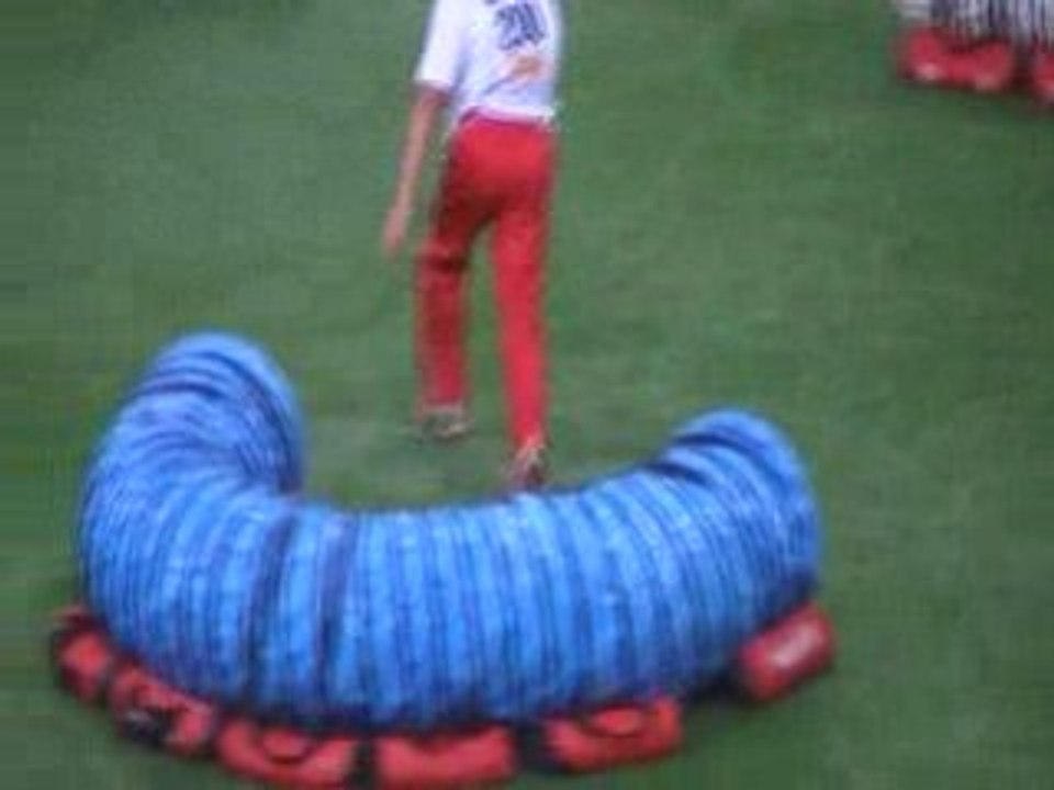 Cocker Fauve Championnat du monde d'agility