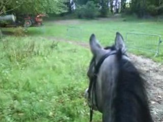 Leçon d'équitation no X