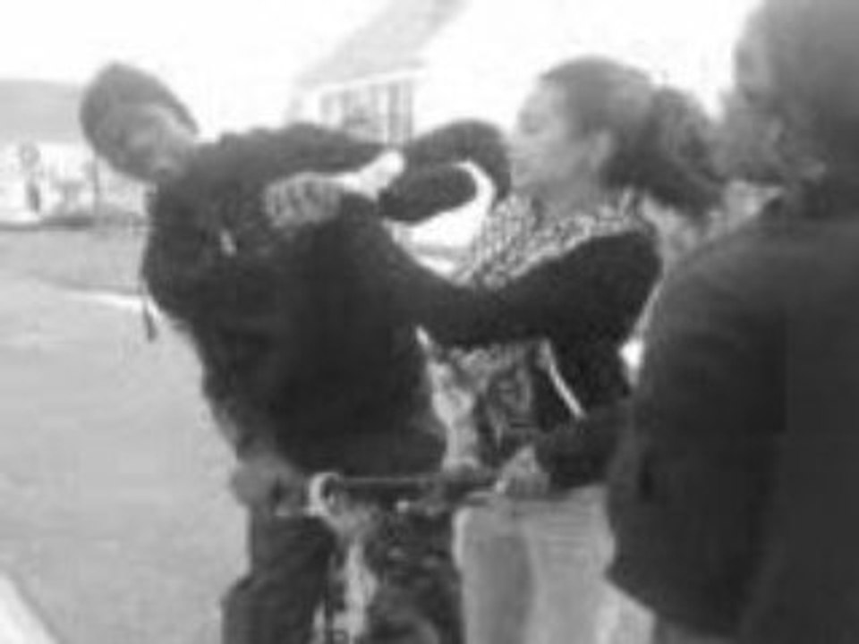 Ali-Teck Sasou-Teck Libou-Teck en mode delire