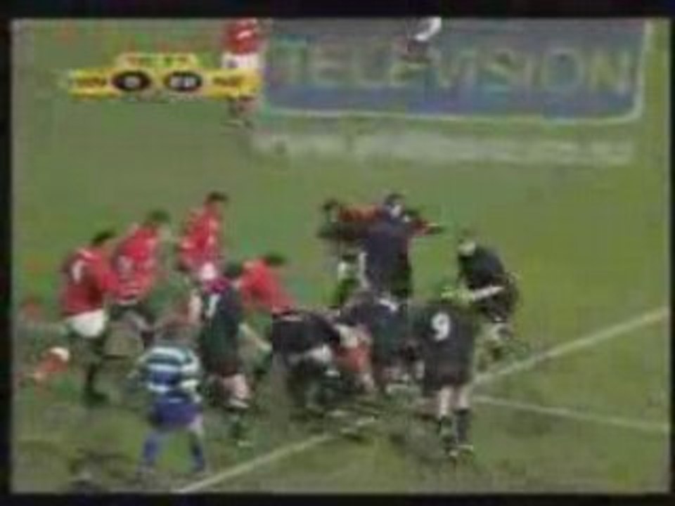 Tana Umaga