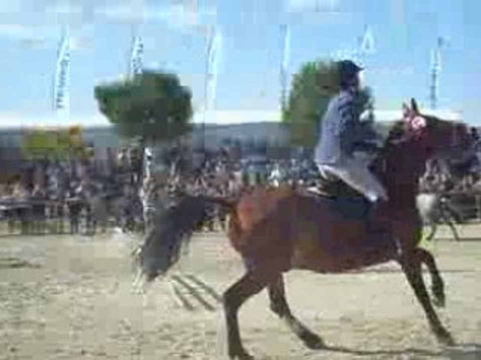 remise des prix championnats 2008