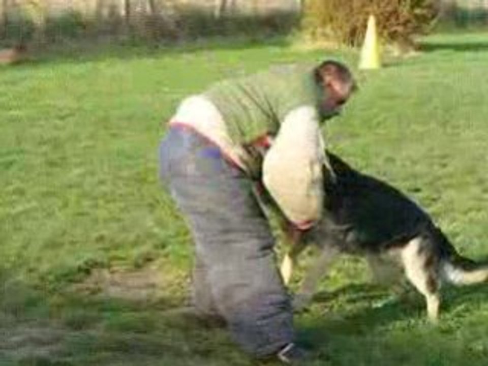 entrainement  Baxter