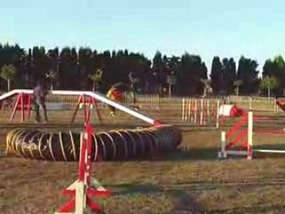 Spok-Open-Carcassonne