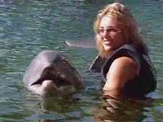 Swim with dolphins