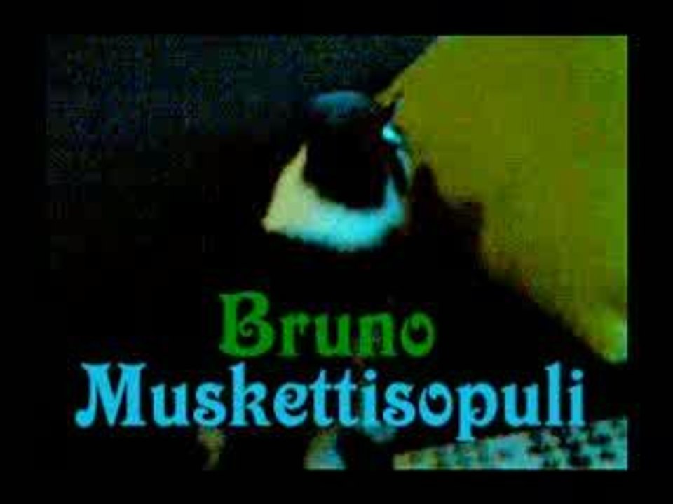 Brunon ensiaskeleet