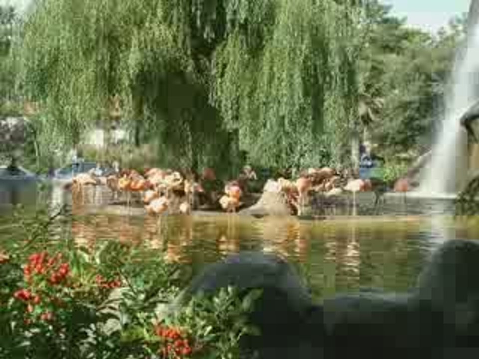 Zoo de la PALMYRE