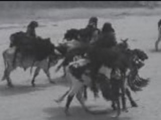Transhumance au Tchad oriental