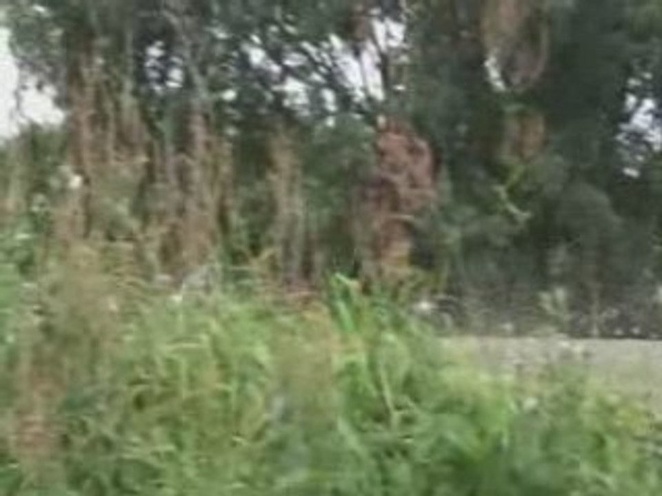 BAJA HPI 5B Entrainement aux sauts