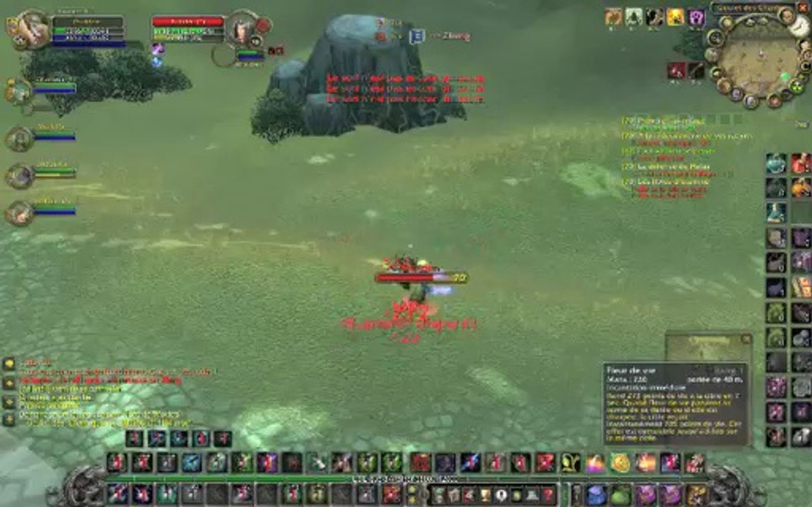 WoW PVP Try Burning Crusade Druid H vs Rogue