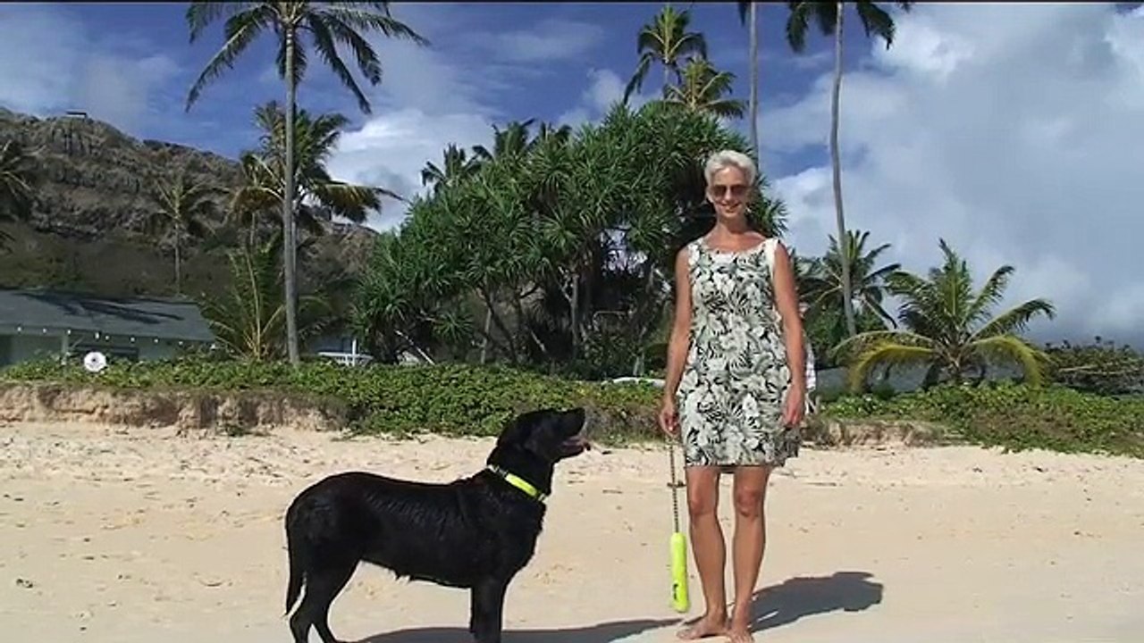 Beach Walk 682 - Go With The Flow