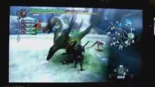 20081009_TGS_2008_Monster_Hunter_3