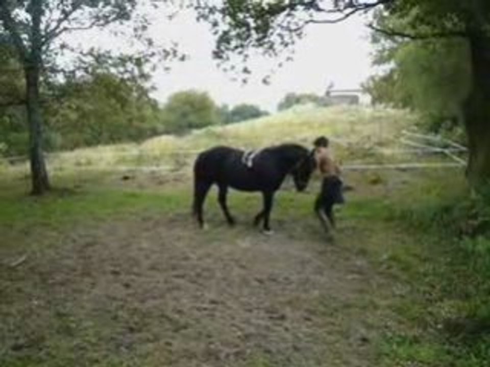 obstacle et "cabré"