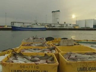 Councils in Iceland financial crisis