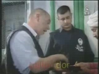 hadj lakhdar ( tecktonic )