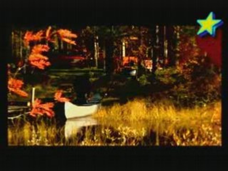 Gloutons de la foret finlandaise 2/3