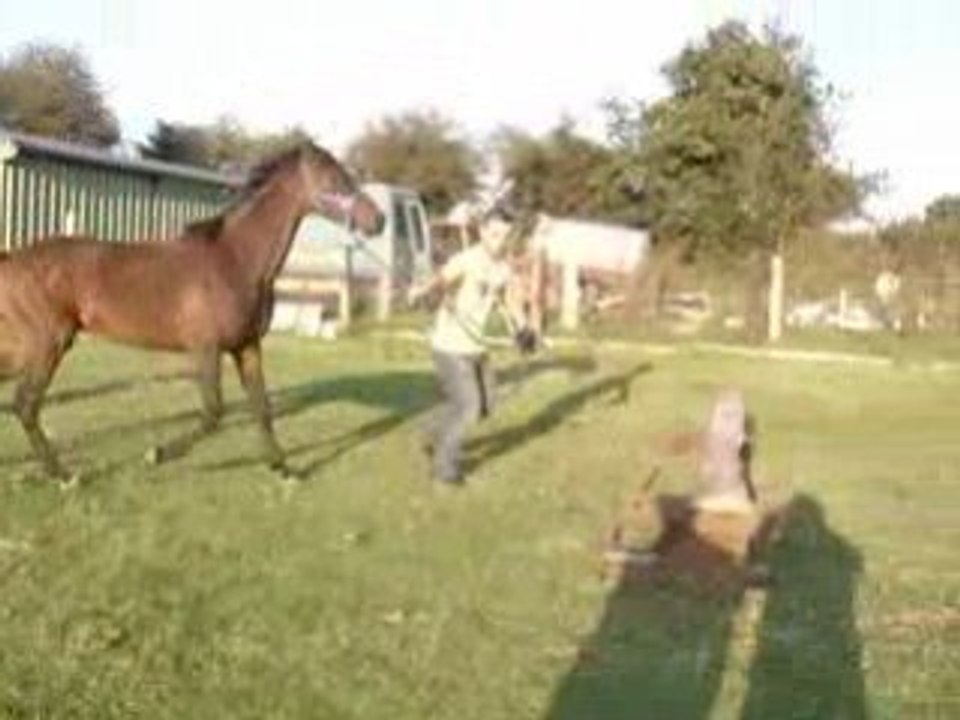 Juste pour voir si elle a ça dans le sang