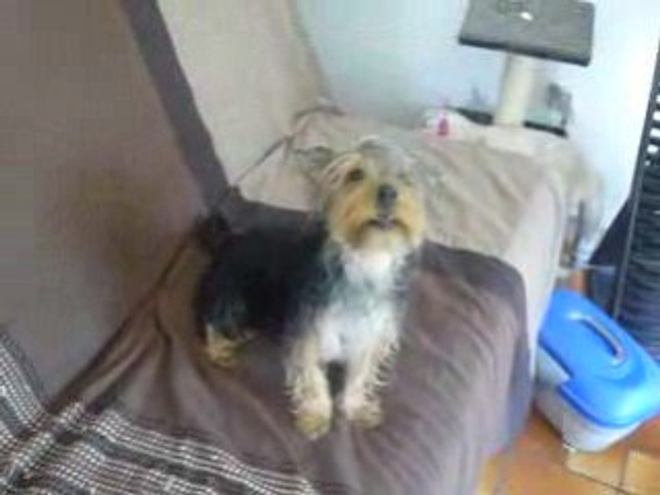 Chuna après le bain
