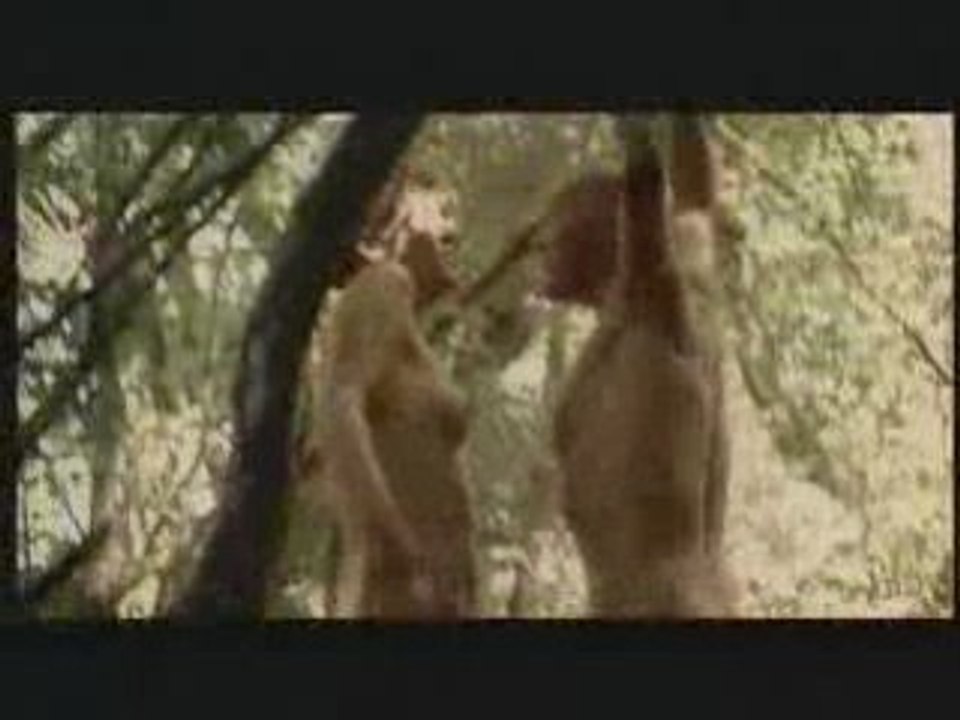 Le cerf - ASPAS - Gérard Pautonnier