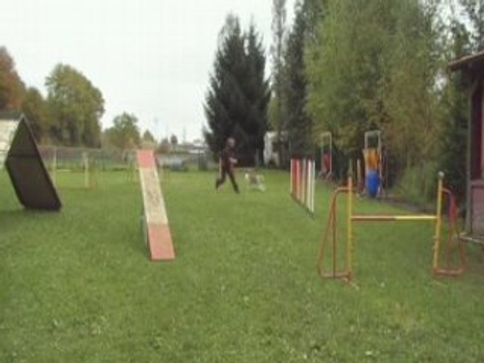 Slalom