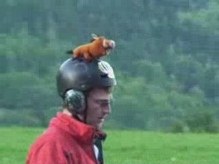 COUPE ICARE 2008 - 1ère partie