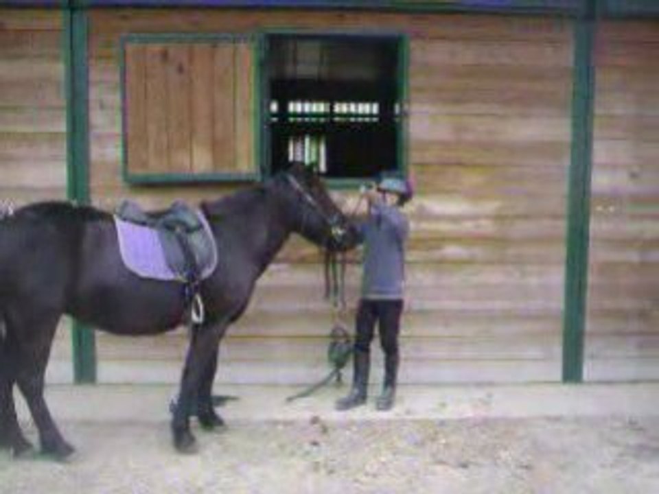 suite poney theo
