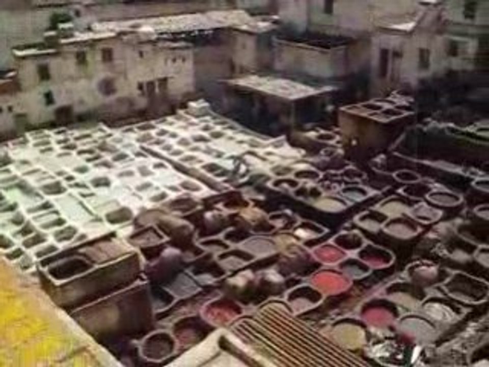 La tannerie