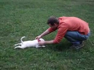 Cindy - první výcvik