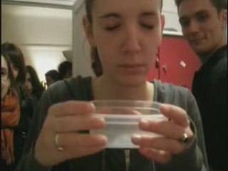 Les larmes de crocodiles - BTS M1 que du bonheur !