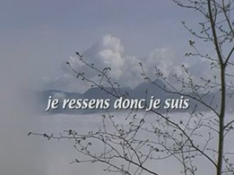 Je ressens donc je suis extraits
