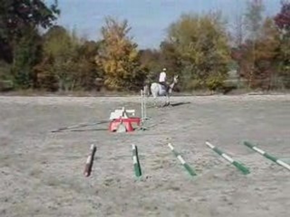 Le plus haut saut du monde !