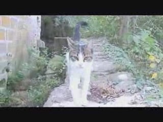 Reperage st christol