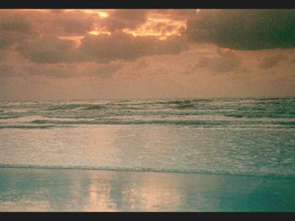 flobardise ....