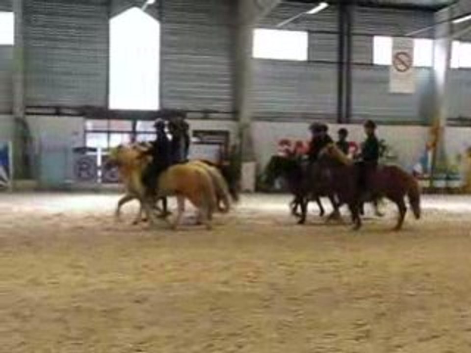 démo islandaise par l'AEI