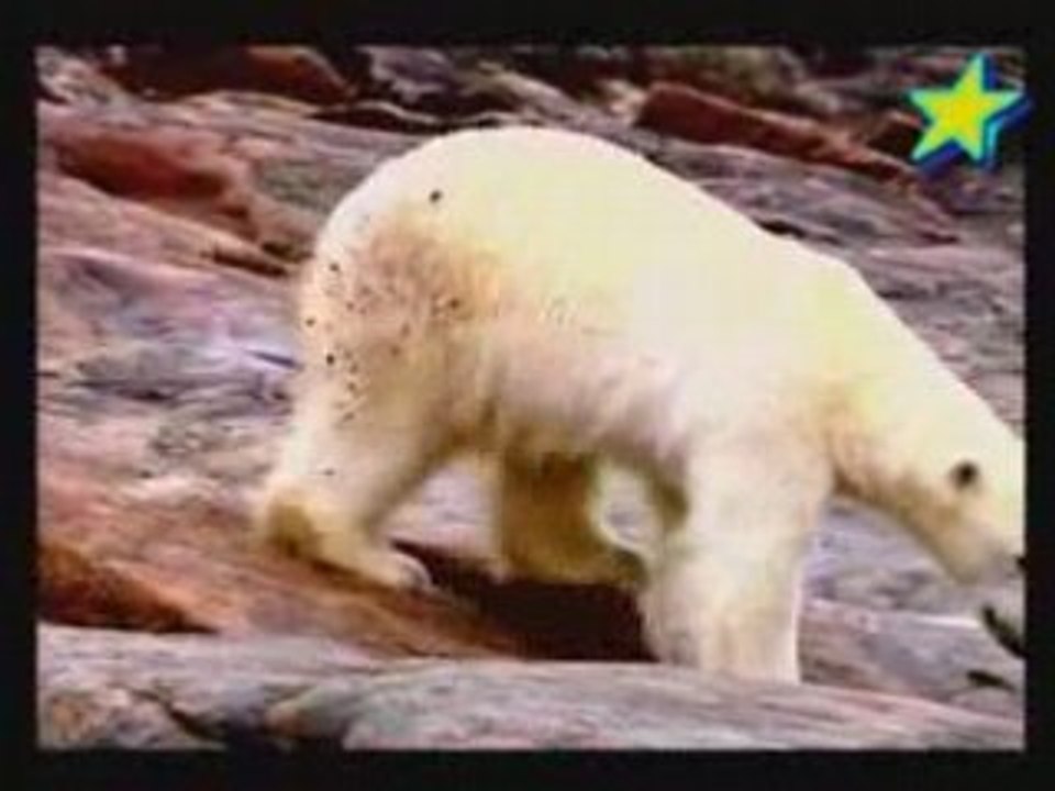 Une saison chez les ours Ep2 1/3