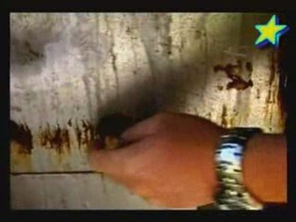 Une saison chez les ours Ep2 3/3