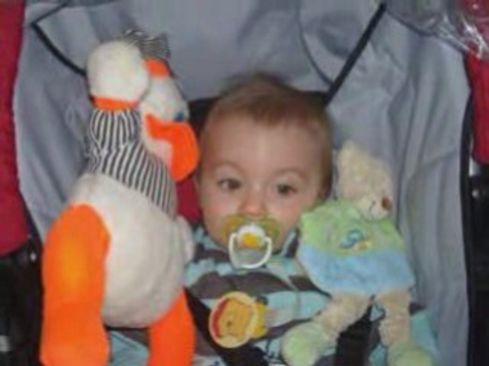 mes zamours de ma vie