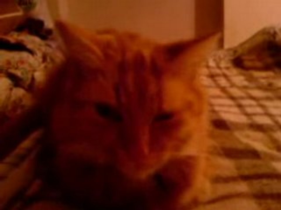 Video-0008