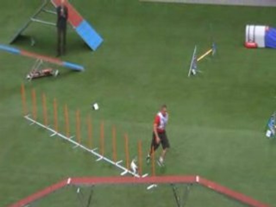 Russel Championnat du monde d'agility