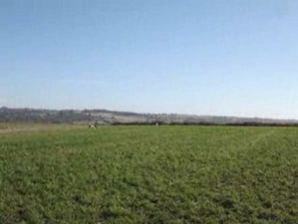Vidéo aria désia 002