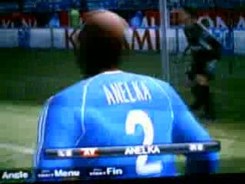 CISEAU D'ANELKA A RAS DE TERRE