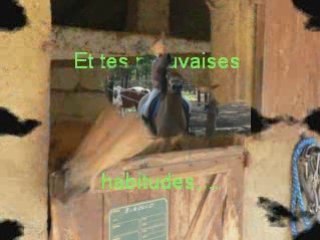 Montage Galant Notre HISTOIRE