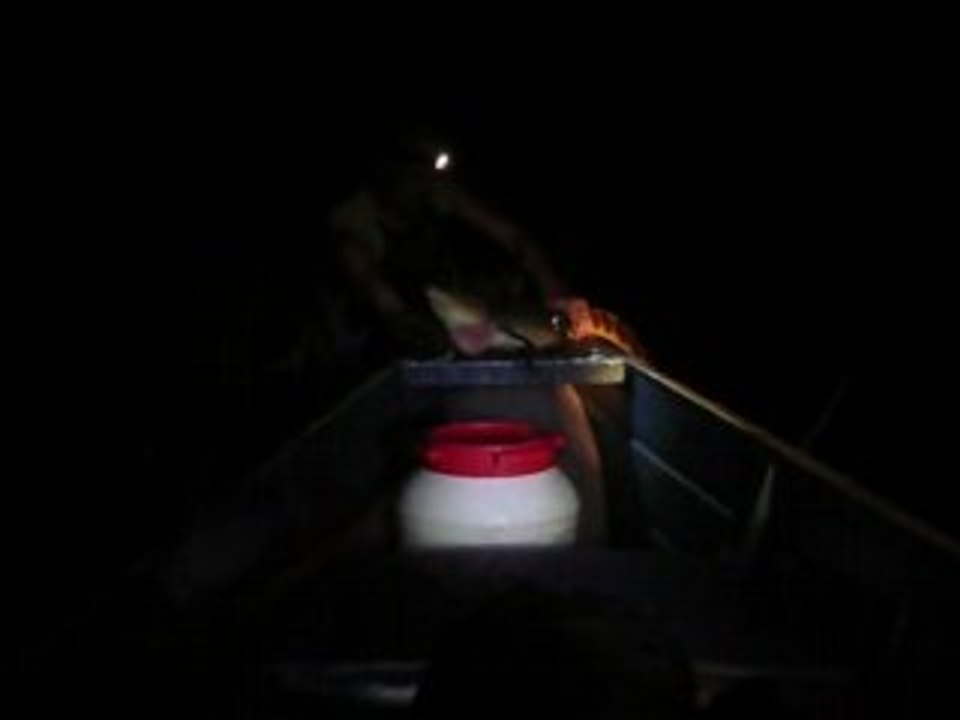 GUYANE KAW CHERCHEUR DE CAIMANS