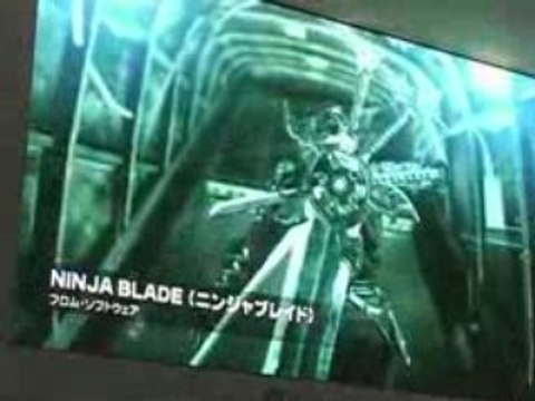 Fanny au TGS 2008 pour Gameblog.fr : Vidéo 2