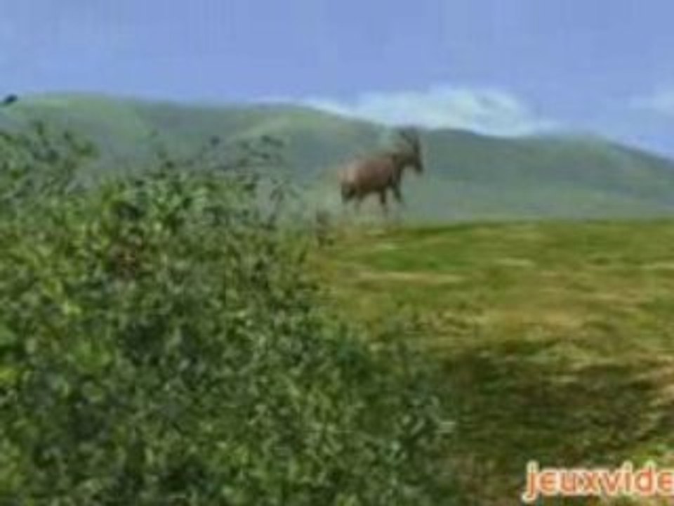Afrika