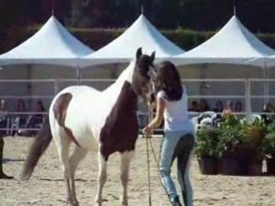 Chloé et Indy aux RDV étho 2008