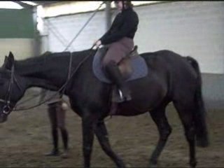 Enfin Lyli à cheval !